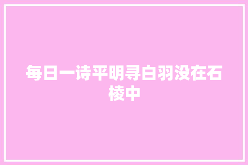 每日一诗平明寻白羽没在石棱中
