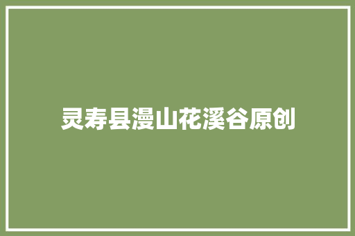 灵寿县漫山花溪谷原创