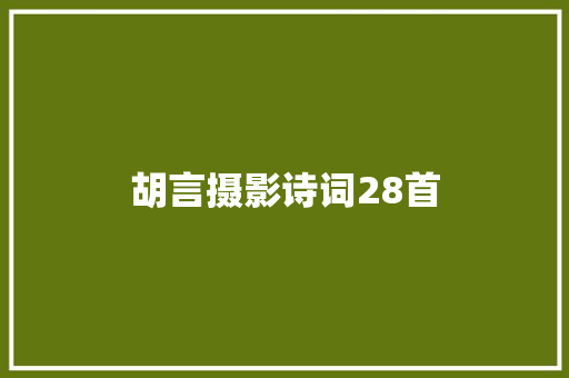 胡言摄影诗词28首