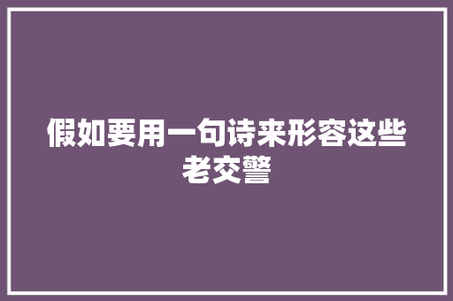 假如要用一句诗来形容这些老交警