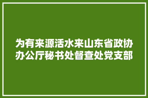 为有来源活水来山东省政协办公厅秘书处督查处党支部党建工作纪实