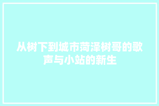 从树下到城市菏泽树哥的歌声与小站的新生