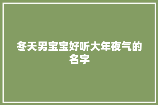 冬天男宝宝好听大年夜气的名字