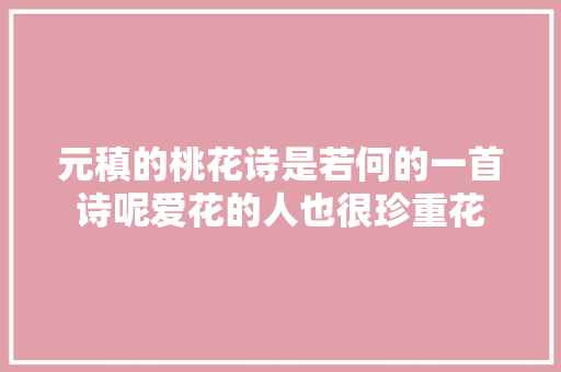 元稹的桃花诗是若何的一首诗呢爱花的人也很珍重花
