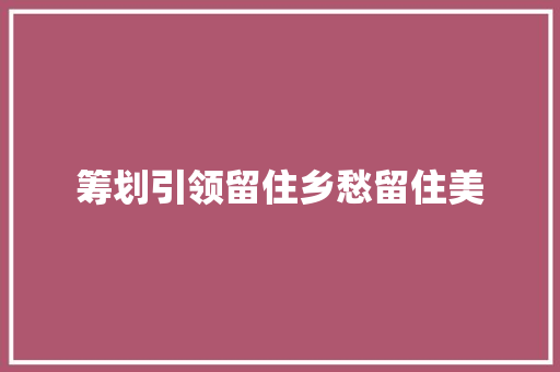 筹划引领留住乡愁留住美