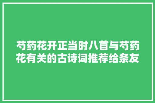 芍药花开正当时八首与芍药花有关的古诗词推荐给条友不雅赏1