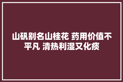 山矾别名山桂花 药用价值不平凡 清热利湿又化痰