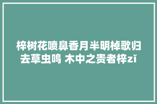 梓树花喷鼻香月半明棹歌归去草虫鸣 木中之贵者梓zǐ