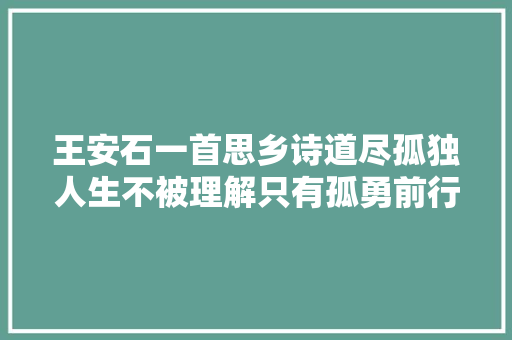 王安石一首思乡诗道尽孤独人生不被理解只有孤勇前行