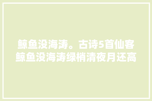 鲸鱼没海涛。古诗5首仙客鲸鱼没海涛绿梢清夜月还高