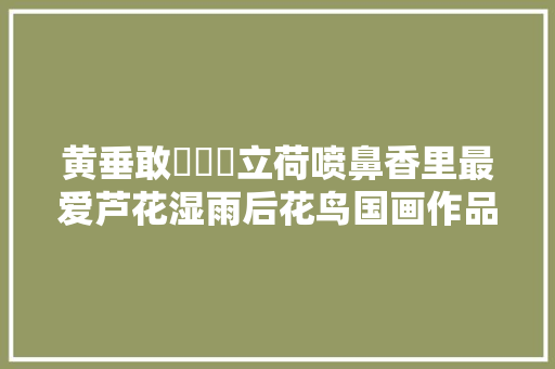 黄垂敢窺奧翹立荷喷鼻香里最爱芦花湿雨后花鸟国画作品集