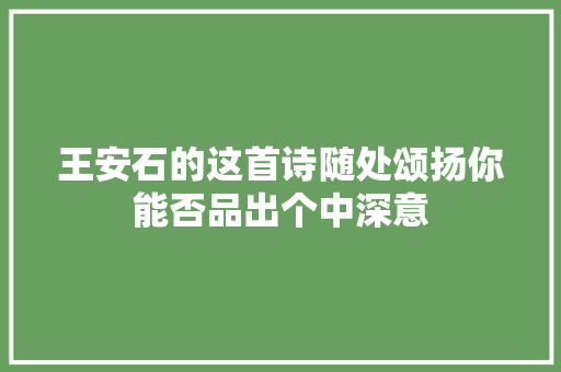王安石的这首诗随处颂扬你能否品出个中深意