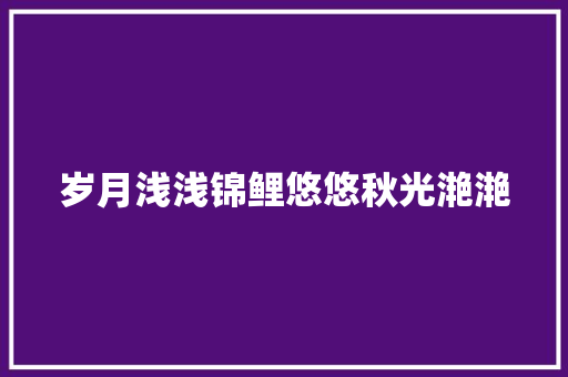 岁月浅浅锦鲤悠悠秋光滟滟