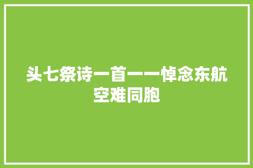 头七祭诗一首一一悼念东航空难同胞