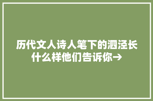 历代文人诗人笔下的泗泾长什么样他们告诉你→