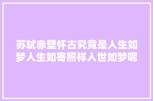 苏轼赤壁怀古究竟是人生如梦人生如寄照样人世如梦呢
