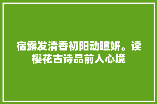 宿露发清香初阳动暄妍。读樱花古诗品前人心境