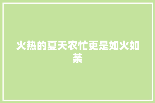 火热的夏天农忙更是如火如荼