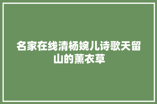 名家在线清杨婉儿诗歌天留山的薰衣草