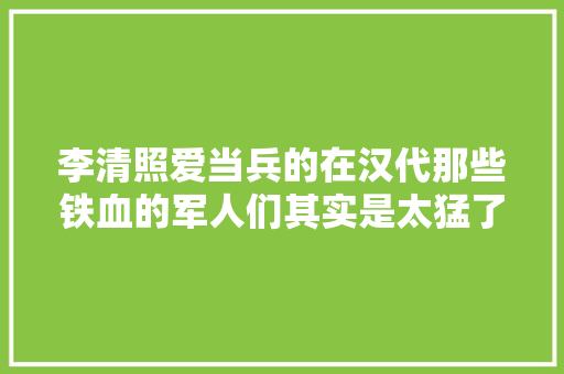 李清照爱当兵的在汉代那些铁血的军人们其实是太猛了