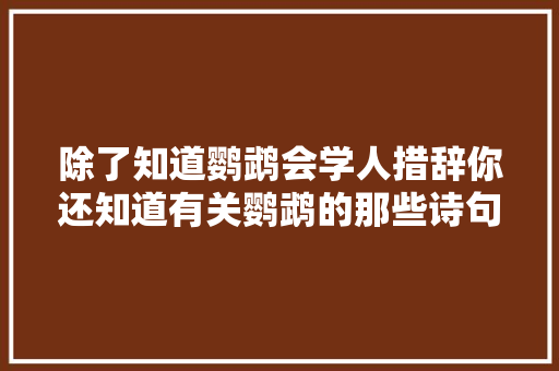 除了知道鹦鹉会学人措辞你还知道有关鹦鹉的那些诗句吗