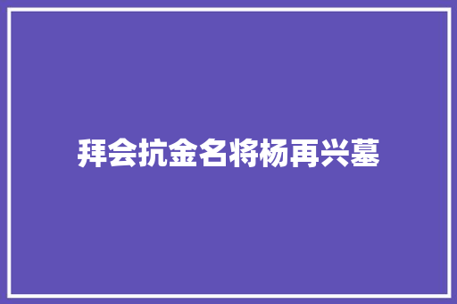 拜会抗金名将杨再兴墓