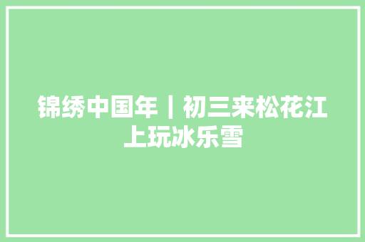 锦绣中国年｜初三来松花江上玩冰乐雪