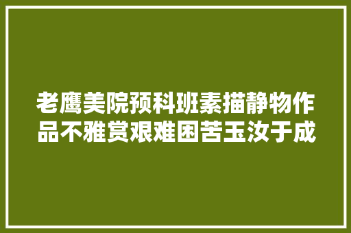老鹰美院预科班素描静物作品不雅赏艰难困苦玉汝于成