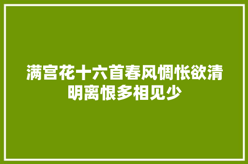 满宫花十六首春风惆怅欲清明离恨多相见少