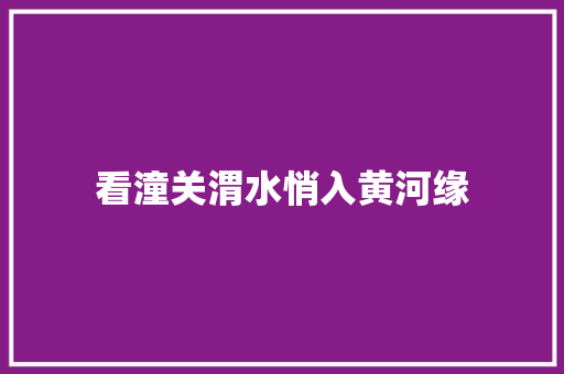 看潼关渭水悄入黄河缘