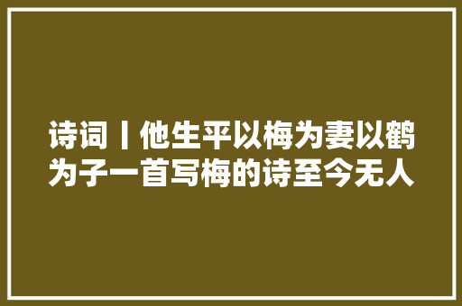 诗词丨他生平以梅为妻以鹤为子一首写梅的诗至今无人匹敌