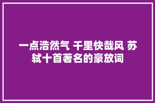 一点浩然气 千里快哉风 苏轼十首著名的豪放词