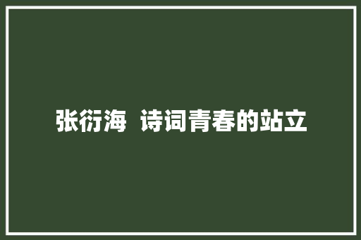 张衍海  诗词青春的站立