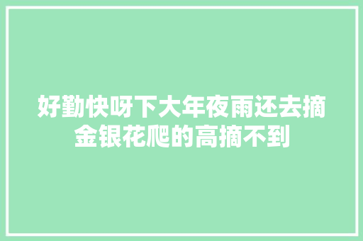 好勤快呀下大年夜雨还去摘金银花爬的高摘不到