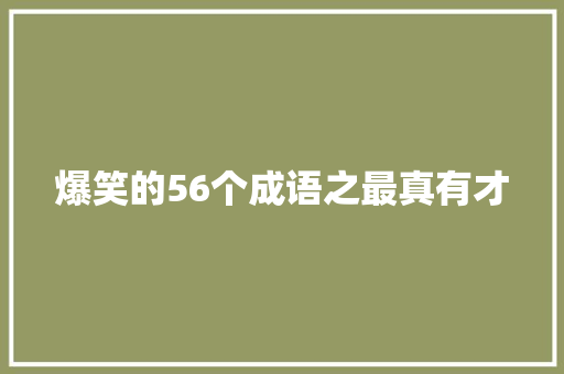 爆笑的56个成语之最真有才