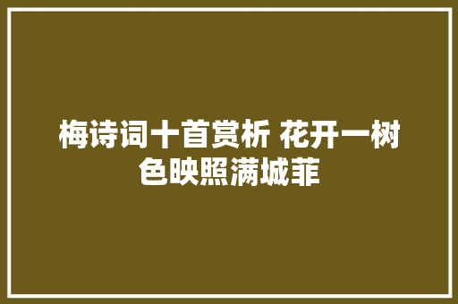 梅诗词十首赏析 花开一树色映照满城菲