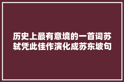 历史上最有意境的一首词苏轼凭此佳作演化成苏东坡句句千古