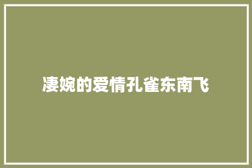 凄婉的爱情孔雀东南飞