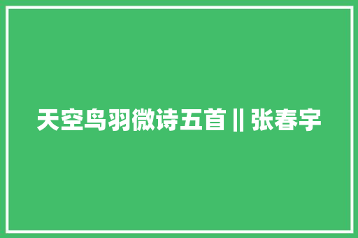 天空鸟羽微诗五首‖张春宇