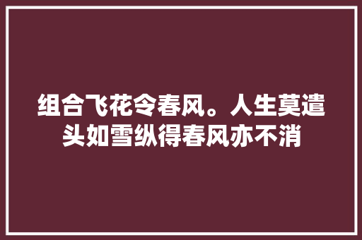 组合飞花令春风。人生莫遣头如雪纵得春风亦不消