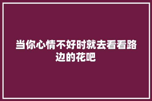 当你心情不好时就去看看路边的花吧