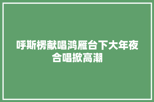呼斯楞献唱鸿雁台下大年夜合唱掀高潮