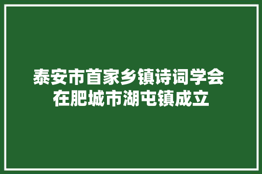 泰安市首家乡镇诗词学会 在肥城市湖屯镇成立