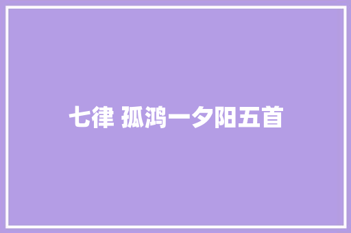 七律 孤鸿一夕阳五首