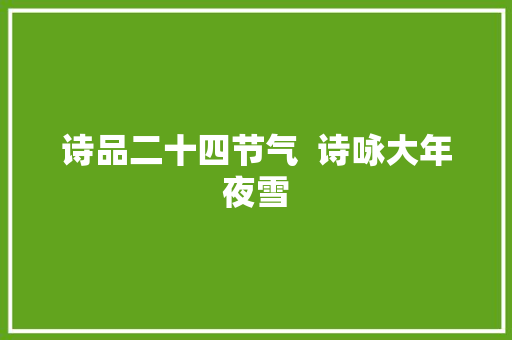 诗品二十四节气  诗咏大年夜雪