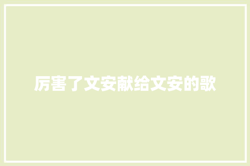 厉害了文安献给文安的歌