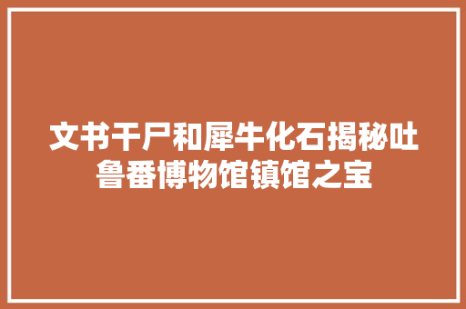 文书干尸和犀牛化石揭秘吐鲁番博物馆镇馆之宝