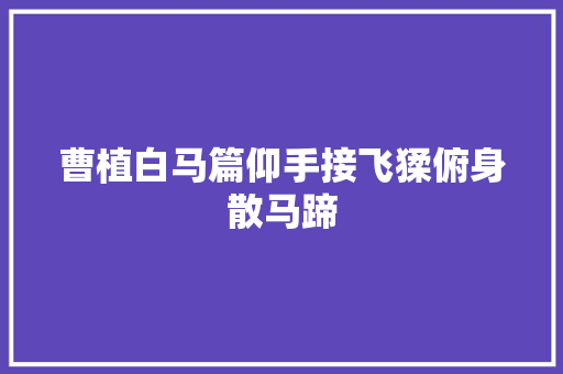 曹植白马篇仰手接飞猱俯身散马蹄
