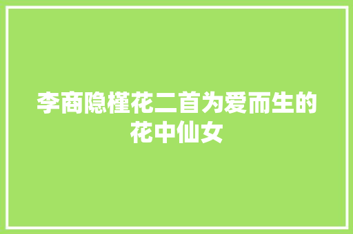 李商隐槿花二首为爱而生的花中仙女