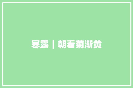 寒露｜朝看菊渐黄